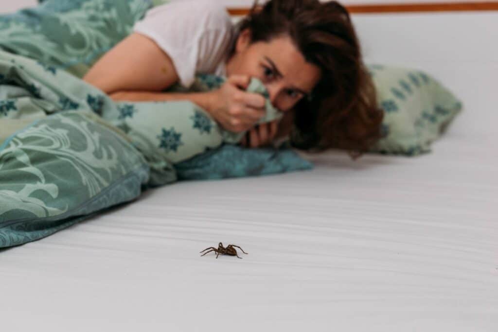 woman-in-bedroom-terrified-by-big-spider-crawling-over-her-bed