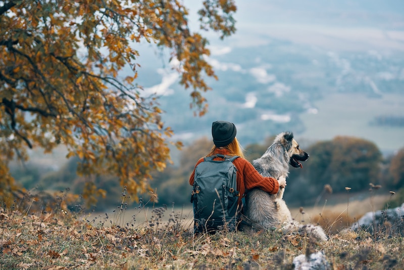 woman-hiker-next-to-dog-friendship-nature-mountains-travel